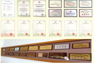 借力中國蔬菜品牌大會，云南蔬菜品牌與企業(yè)以大數(shù)據(jù)服務(wù)驅(qū)動產(chǎn)業(yè)升級